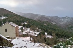 19-01-2023-neige17