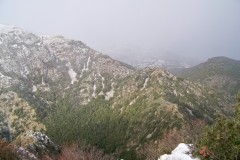 19-01-2023-neige26