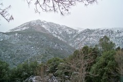 19-01-2023-neige57
