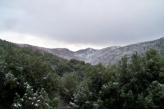 19-01-2023-neige59