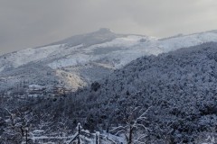 neige-03-04-2022-014