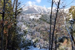 neige-03-04-2022-023