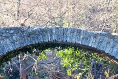 pont-du-moulin-2016-12