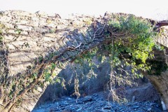 pont-du-moulin-2016-16