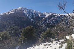 30-01-2023-neige43