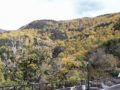 automne