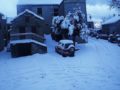 La place 8 heure du matin