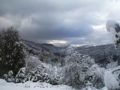 Paysage