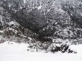 Paysage