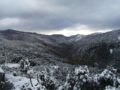 Paysage