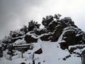 Paysage