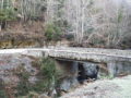 Pont