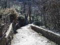 Descente vers le stade