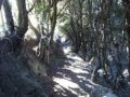 Sentier