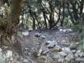 Sentier