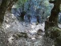 Sentier