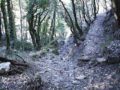 Sentier
