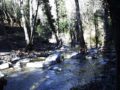 Rivière