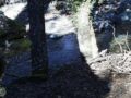 Rivière