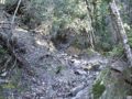 Sentier retour