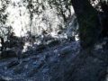 Sentier retour