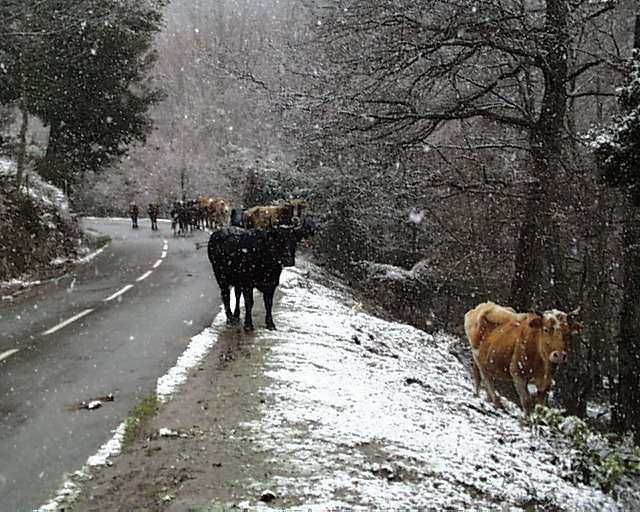 Dimanche 23 mars 2008