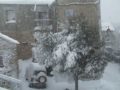 Neige 6 mars 2008 à 8 heures
