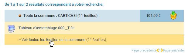Cliquez sur Voir toutes les feuilles de la commune