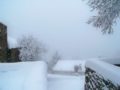 le 11 mars 2010