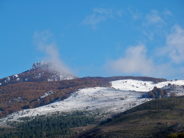 Coup de froid