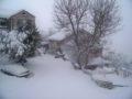 Neige du 24 janvier 2011