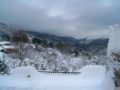 Neige du 24 janvier 2011