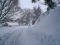 Neige du 24 janvier 2011