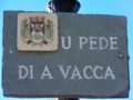 U PEDE DI A VACCA